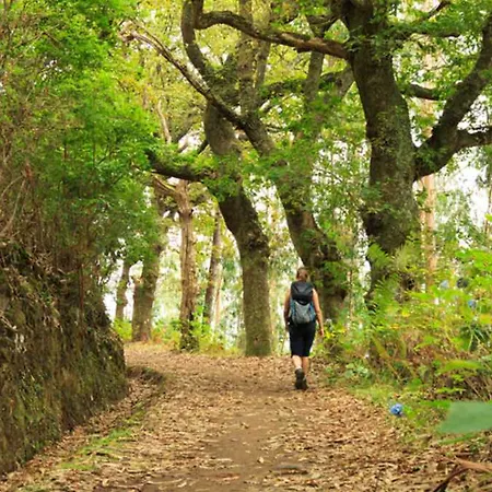 Hotel Pestana Royal Ocean &